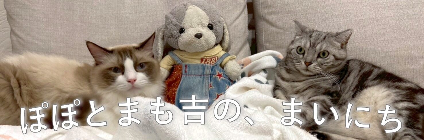 ぽぽとまも吉の、まいにち